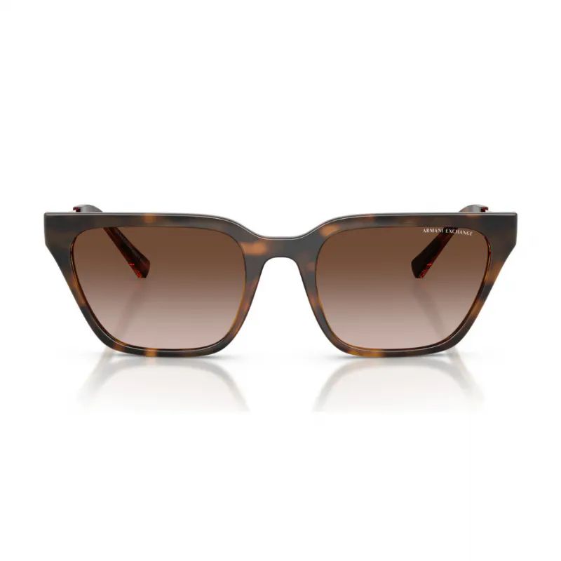 ARMANI-EXCHANGE-KADIN-KEMIK-GUNES-GOZLUGU-AX4158S-821313