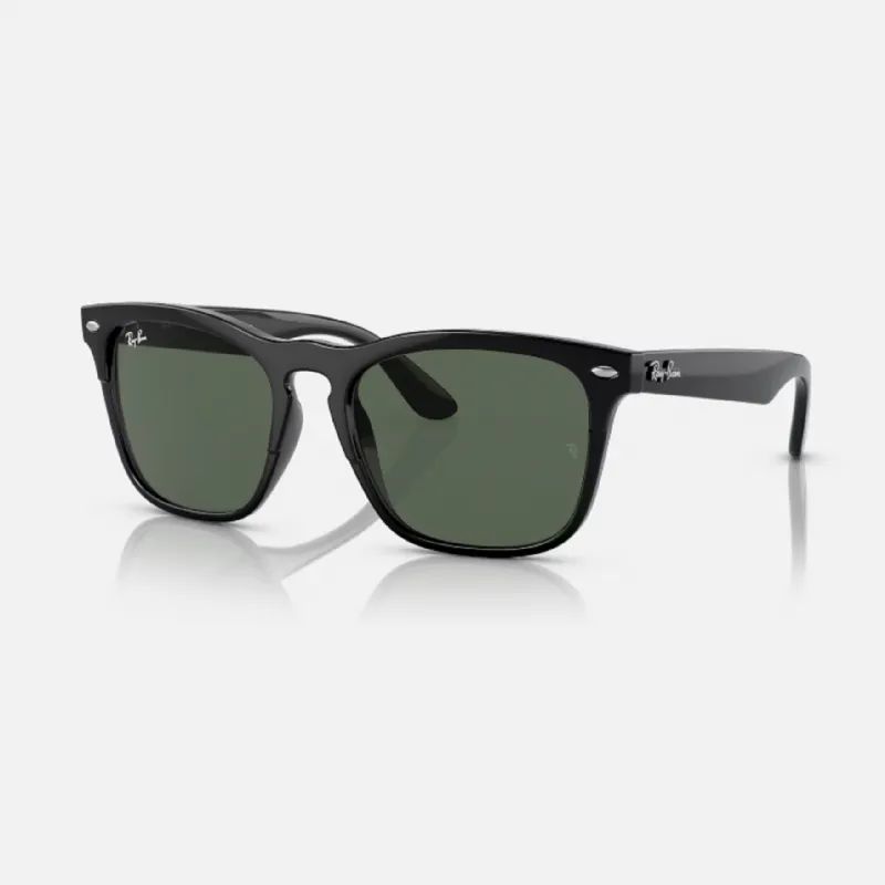 RAY-BAN STEVE ERKEK KEMK GNE GZL RB4487 662971