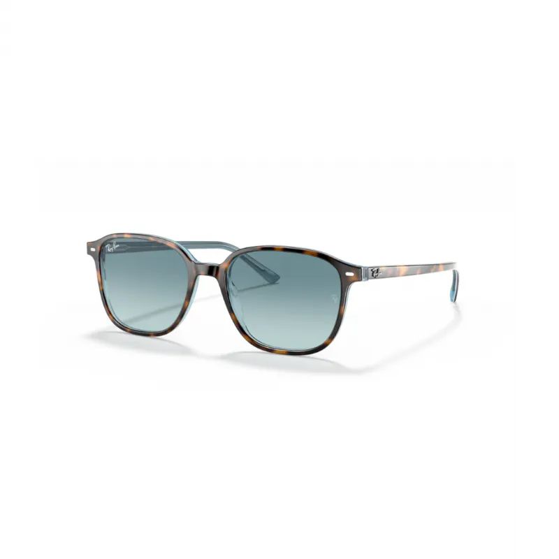 RAY-BAN-LEONARD-UNISEX-KEMIK-GUNES-GOZLUGU-RB2193-13163M
