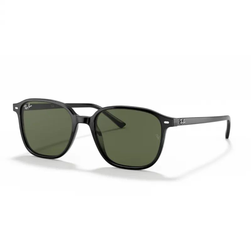 RAY-BAN-LEONARD-UNISEX-KEMIK-GUNES-GOZLUGU-RB2193-901-31