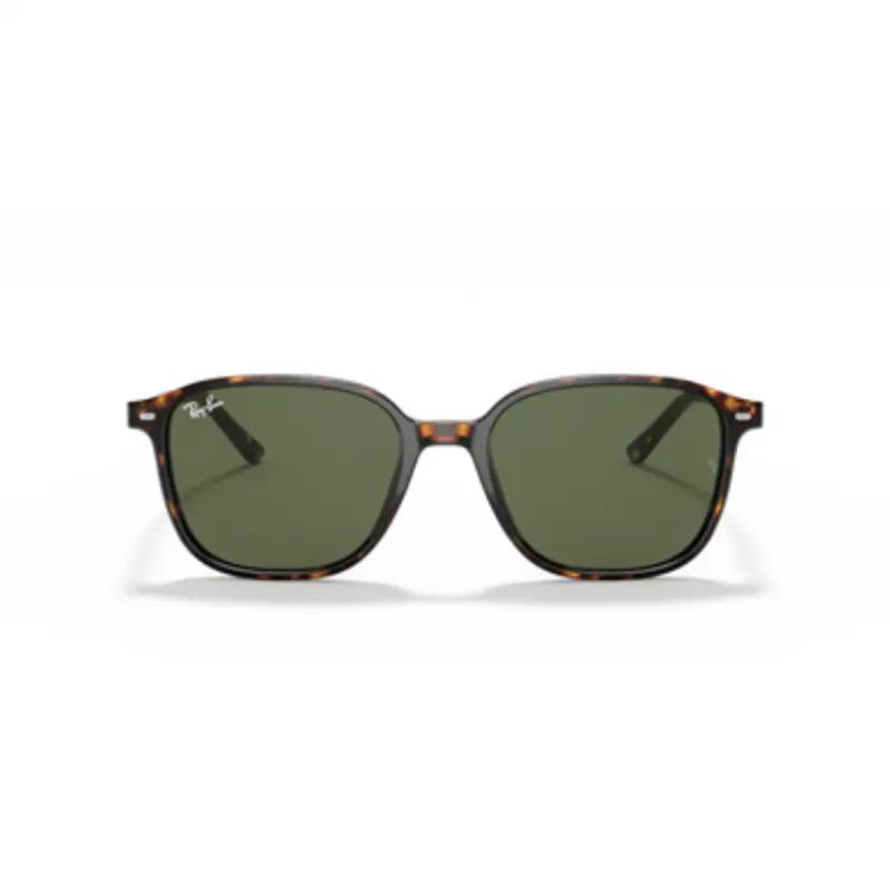 RAY-BAN-LEONARD-UNISEX-KEMIK-GUNES-GOZLUGU-RB2193-902-31