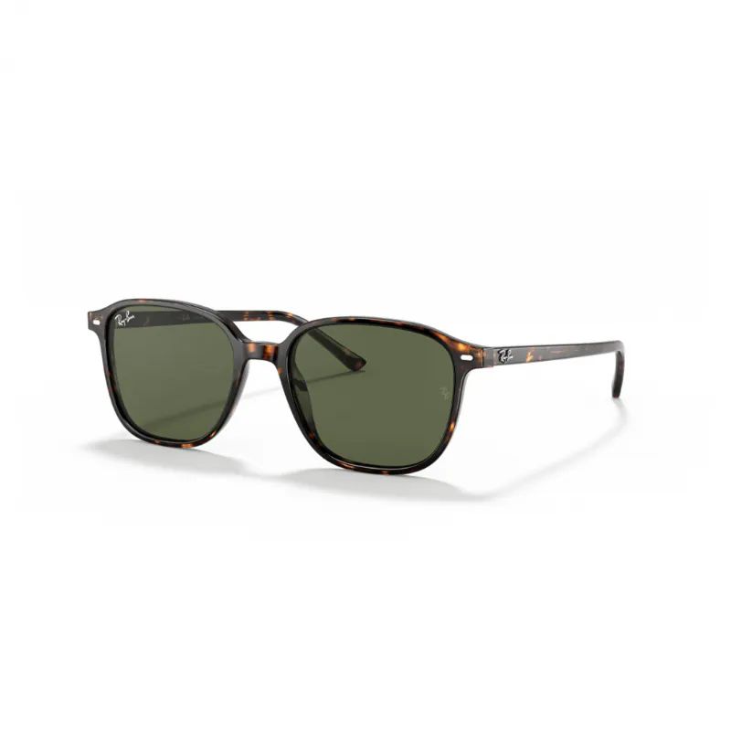 RAY-BAN-LEONARD-UNISEX-KEMIK-GUNES-GOZLUGU-RB2193-902-31