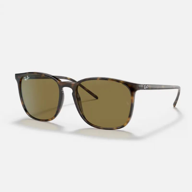RAY-BAN UNSEX KEMK GNE GZL RB4387 56 710/73