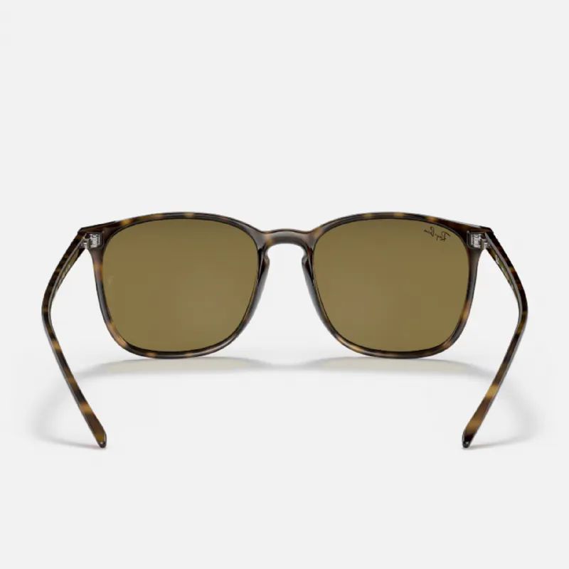 RAY-BAN UNSEX KEMK GNE GZL RB4387 710/73