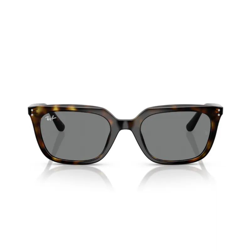 RAY-BAN-UNISEX-KEMIK-GUNES-GOZLUGU-RB4439D-710-87