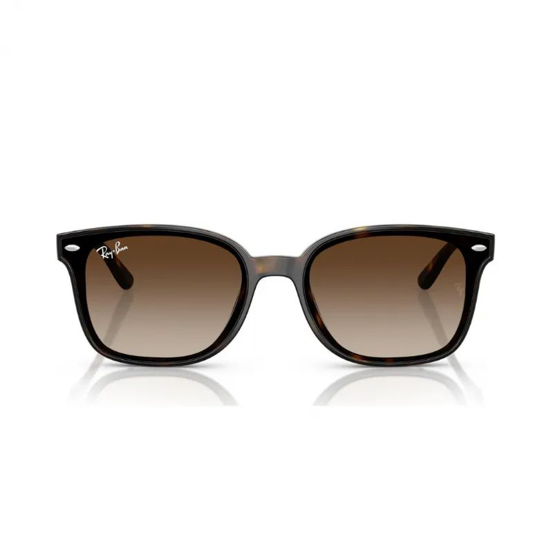 RAY-BAN-UNISEX-KEMIK-GUNES-GOZLUGU-RB4461D-710-13
