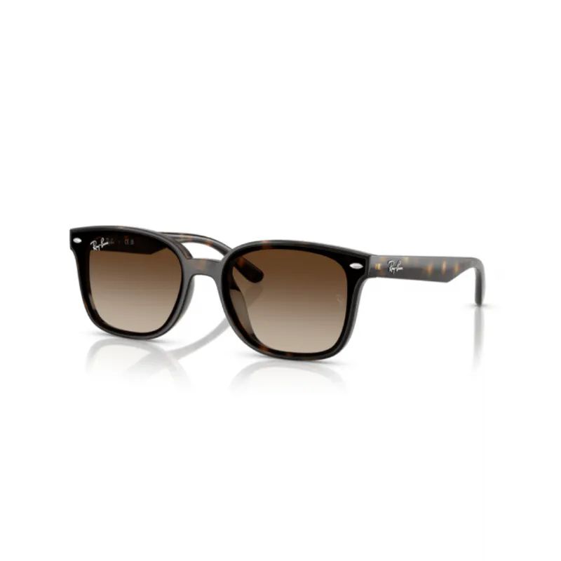 RAY-BAN-UNISEX-KEMIK-GUNES-GOZLUGU-RB4461D-710-13