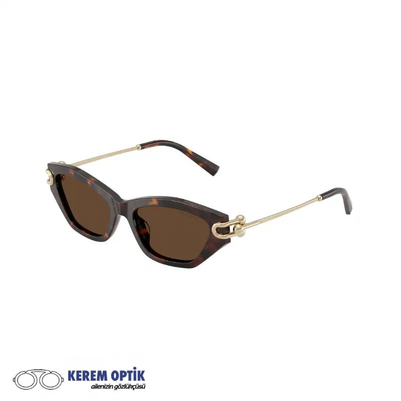TIFFANY-CO.-KADIN-KEMIK-GUNES-GOZLUGU-TF4231U-80153G
