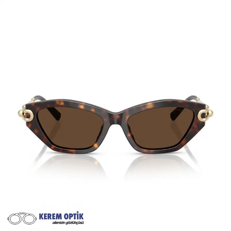 TIFFANY-CO.-KADIN-KEMIK-GUNES-GOZLUGU-TF4231U-80153G