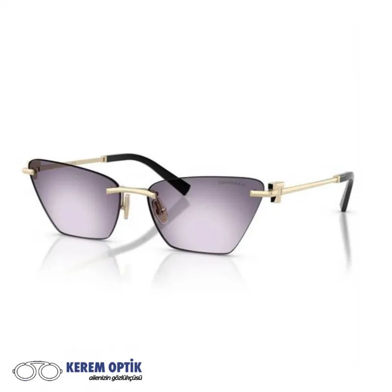 TIFFANY-CO.-KADIN-TITANYUM-GUNES-GOZLUGU-TF3120-62438H