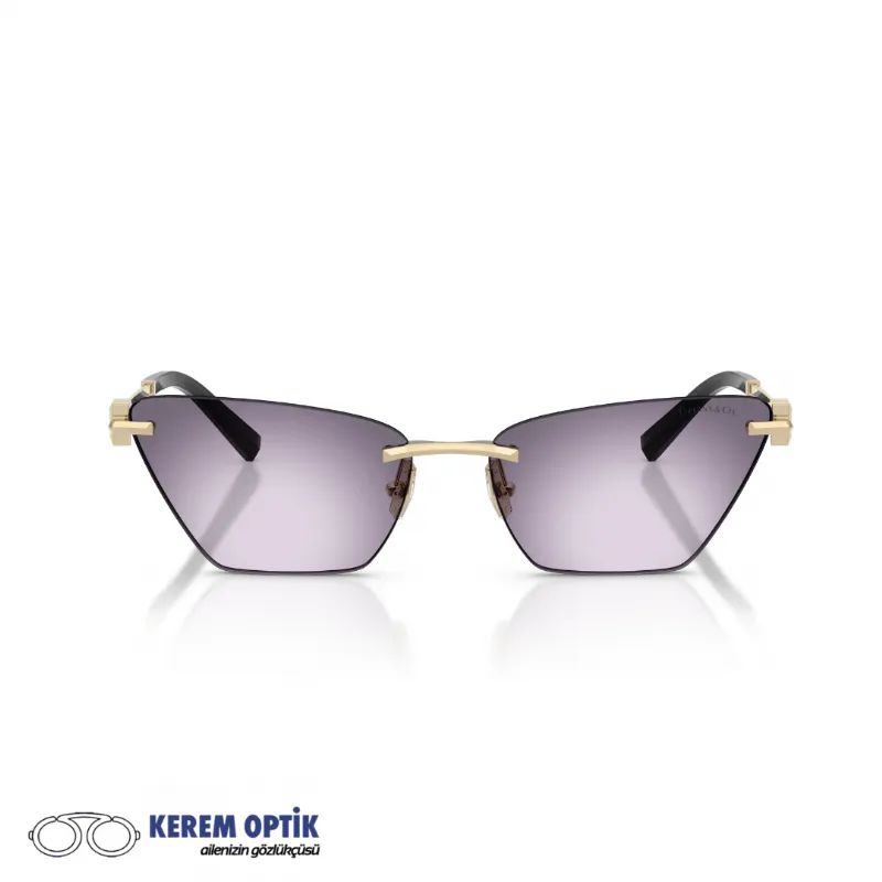TIFFANY-CO.-KADIN-TITANYUM-GUNES-GOZLUGU-TF3120-62438H